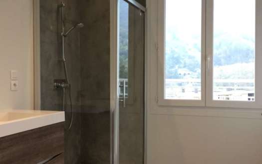 GRENOBLE – Ile Verte – Appartement T2 en DERNIER ETAGE